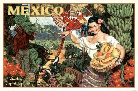 vintage mexico travel poster featuring an illustration of a woman holding fruit and a parrot. 