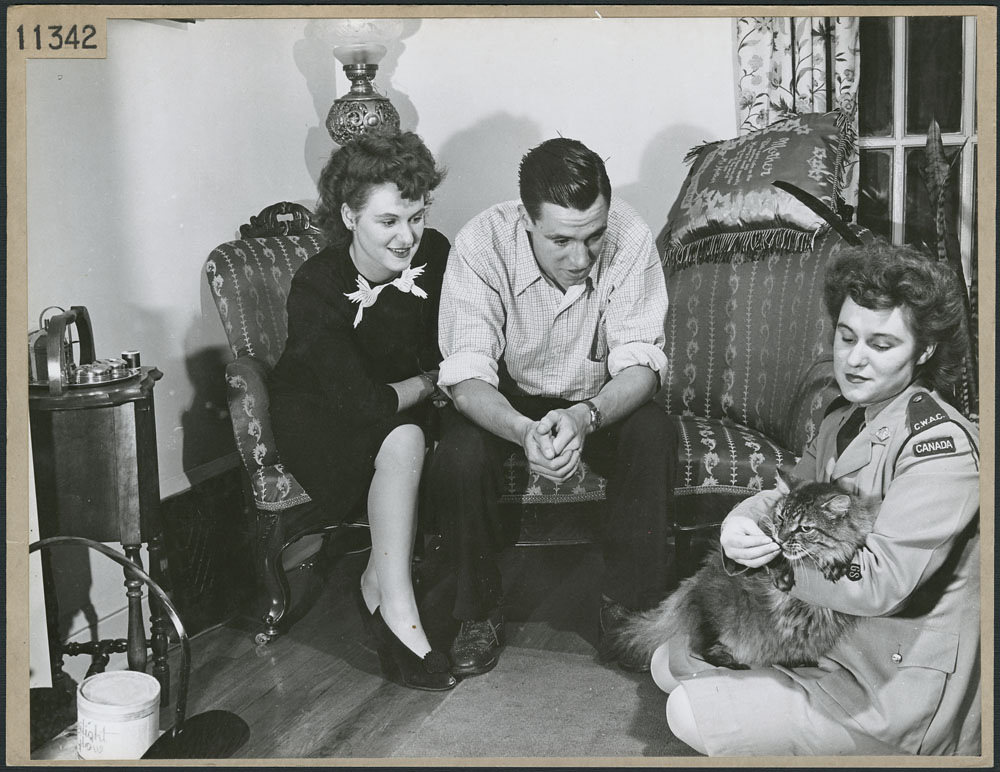 1940s vintage photo of A member of the Canadian Women’s Army Corps feeds a treat to a cat as a couple seated on nearby loveseat watch 