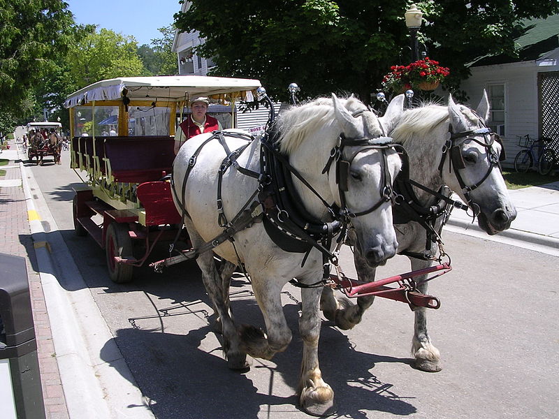 Grand Hotel Mackinac Island carriage 