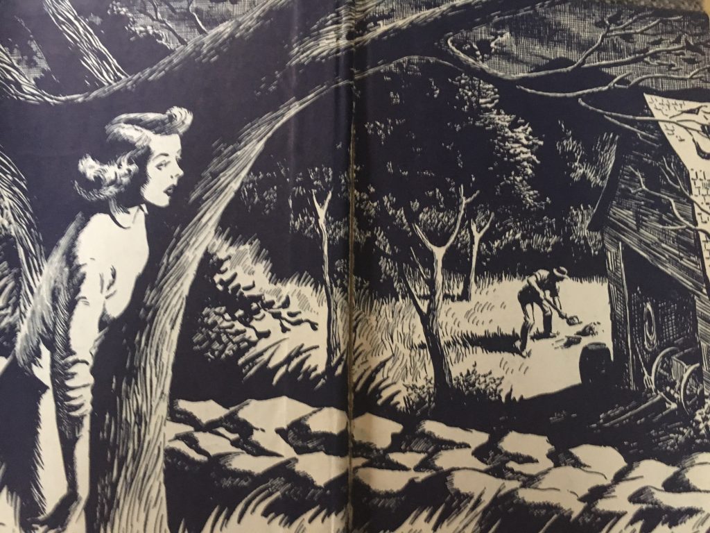 inside 1950s Nancy Drew Book. illustration of Nancy Drew trying to solve a mystery.