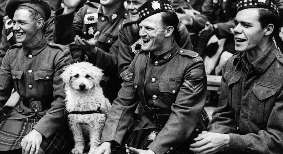 vintage image of dog with canadian soldiers ww2