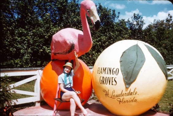 1950s vintage image of flamingo orange and a woman in 1950s fashion in Florida. 