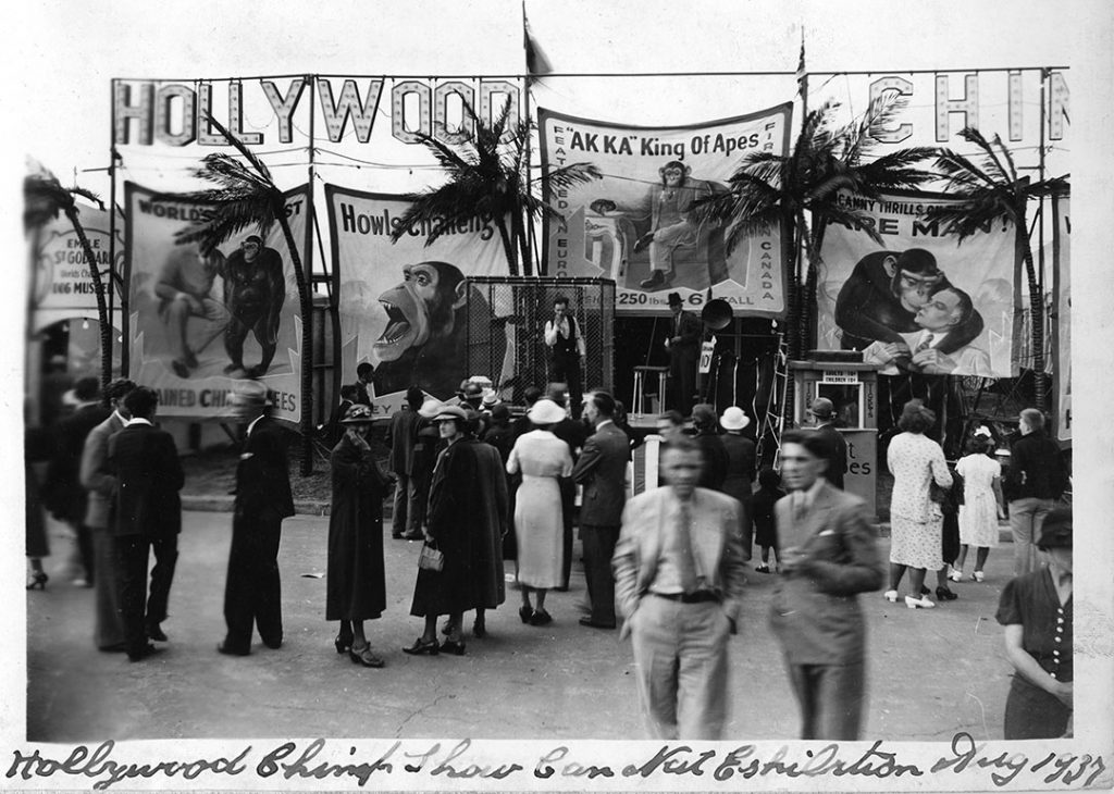 1930s vintage photo of the Hollywood Chimp Show, 1937 at the Toronto CNE aka the Canadian national exhibition