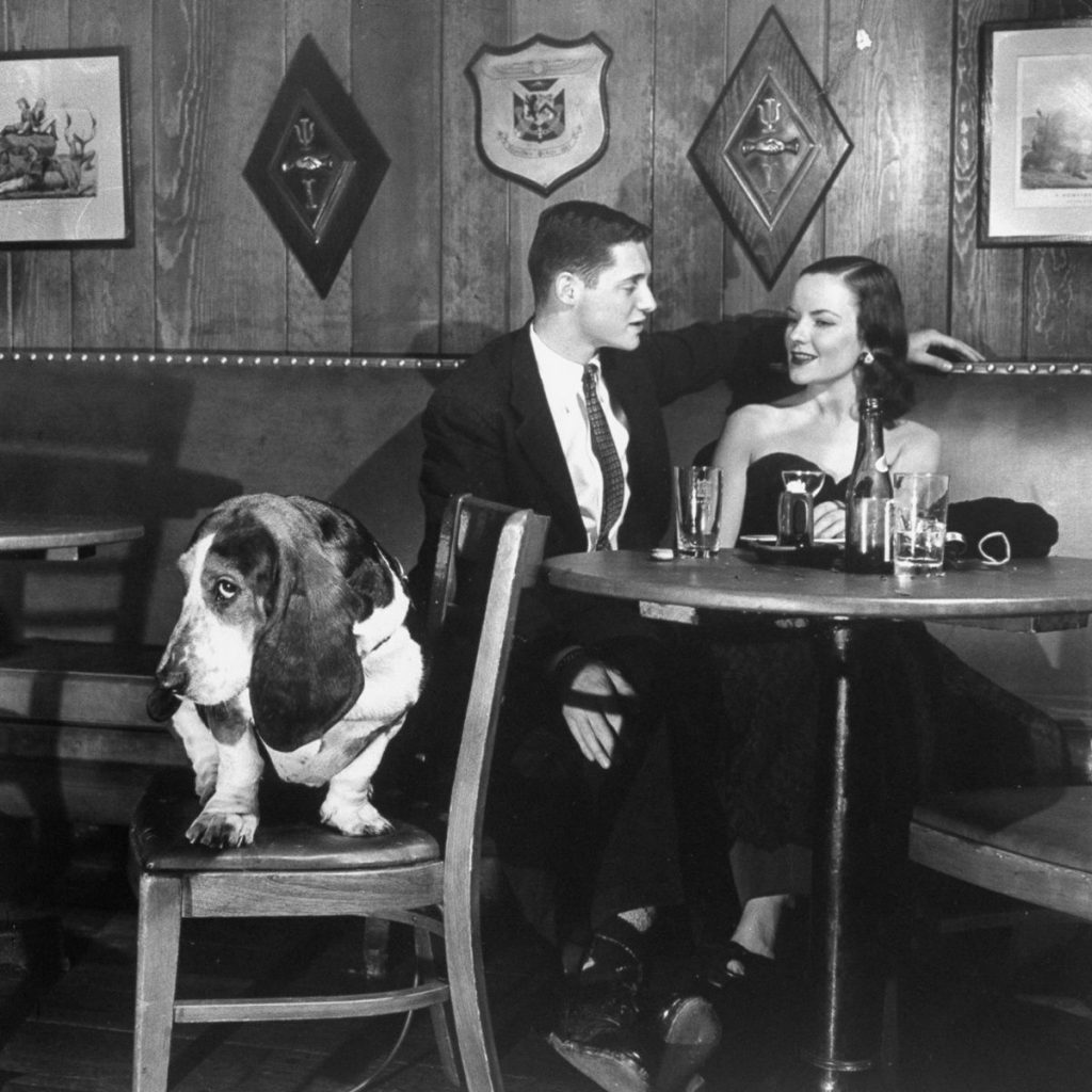 1950s vintage image of couple with dog