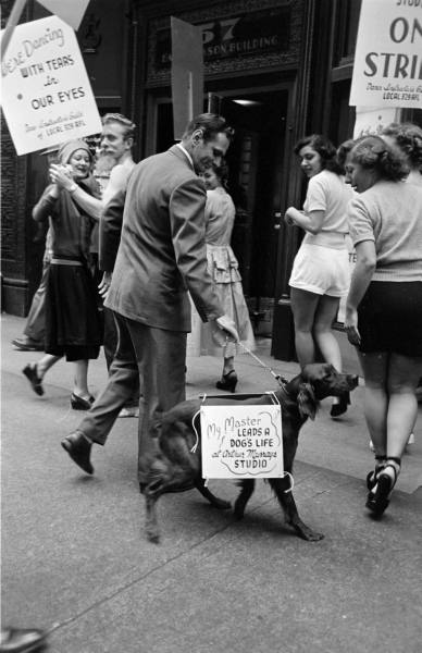 1940s Vintage Image of the Dancing Teachers Strike 1947. The image shows a man with a dog and the dog has a picket sign on him. 