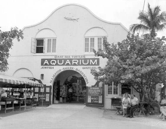 1960's vintage photo: View of the entrance to the Key West Aquarium