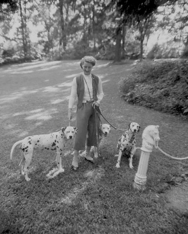 Vintage Photo from the 1930s /1940s of Fashion Designer Clare Potter with her dalmatian dogs out for a walk. 