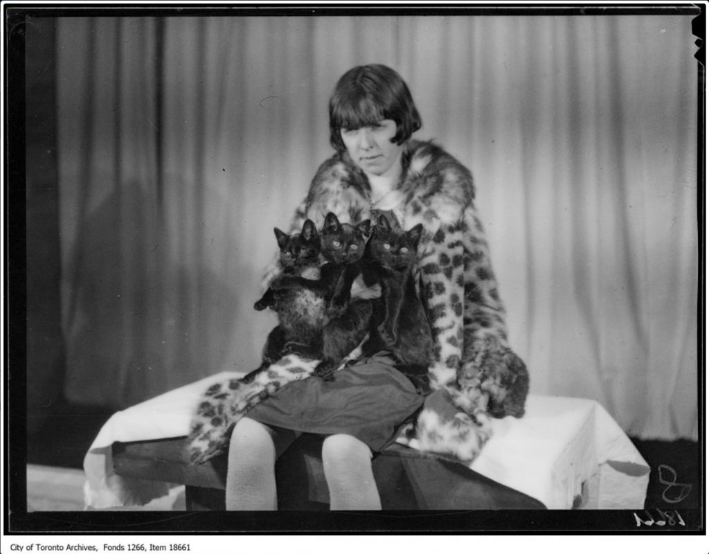 1920s Fashion-1920s Photo of a woman holding 3 cats in 1920s style at royal winter fair toronto