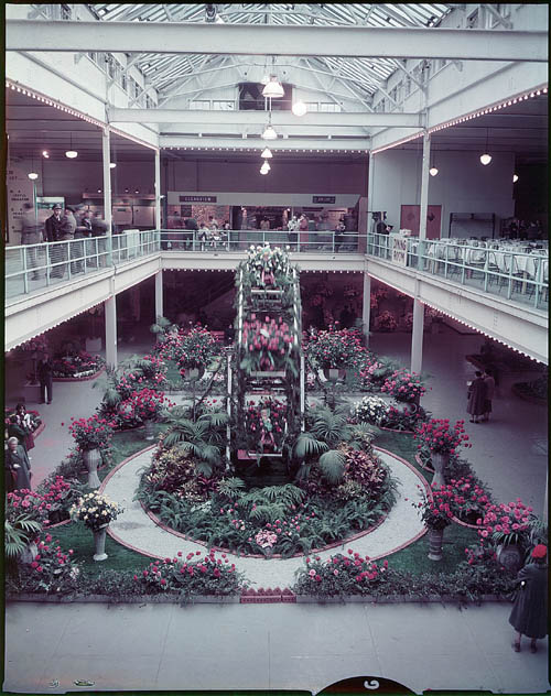 1950s Vintage Photo of the 1958 Flower display at the Royal Winter Fair