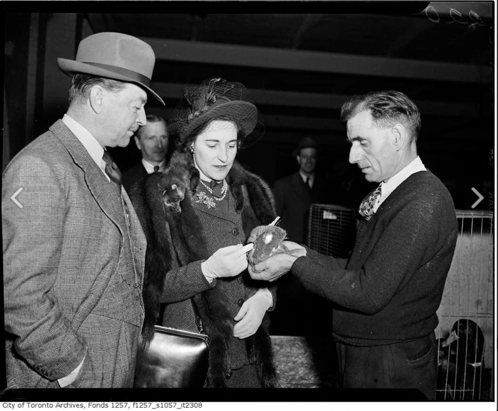 1940s Vintage Photo: Governor General Alexander and Lady Alexander and with duck at Royal Winter Fair-November 1, 1946. 