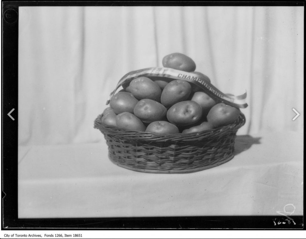 1920s Photo of Royal Winter Fair, Champion Potatoes, Dooley, S.E. Guffin, RR 1, Acton