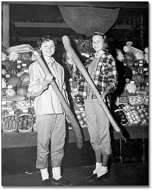 1950s Vintage Photo: Two women from Port Hope with Italian marrow squash at the Royal Agricultural Winter Fair, Toronto, 1955