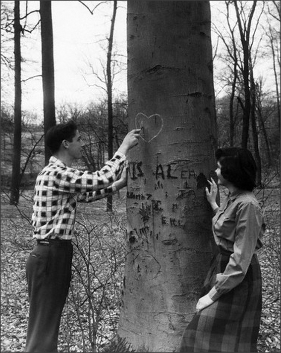 1950s vintage photo of two teenagers carving their names into a tree with a heart.