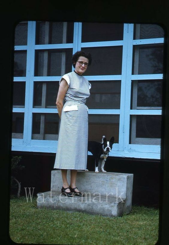 1950s red border kodachrome vintage Photo slide featuring a women in 1950s Fashion (1950s Dress) and a Boston Terrier.