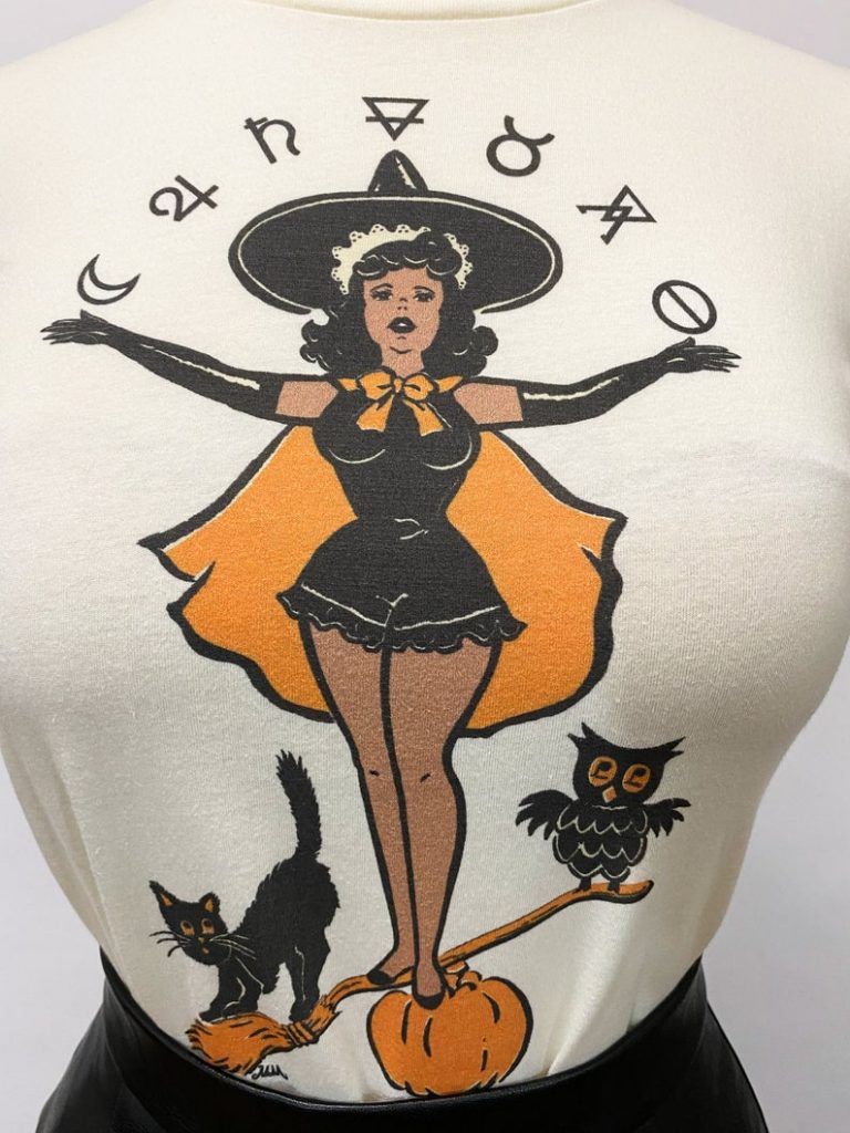 pinup witch with black cat and pumpkins. A halloween retro t-shirt. 