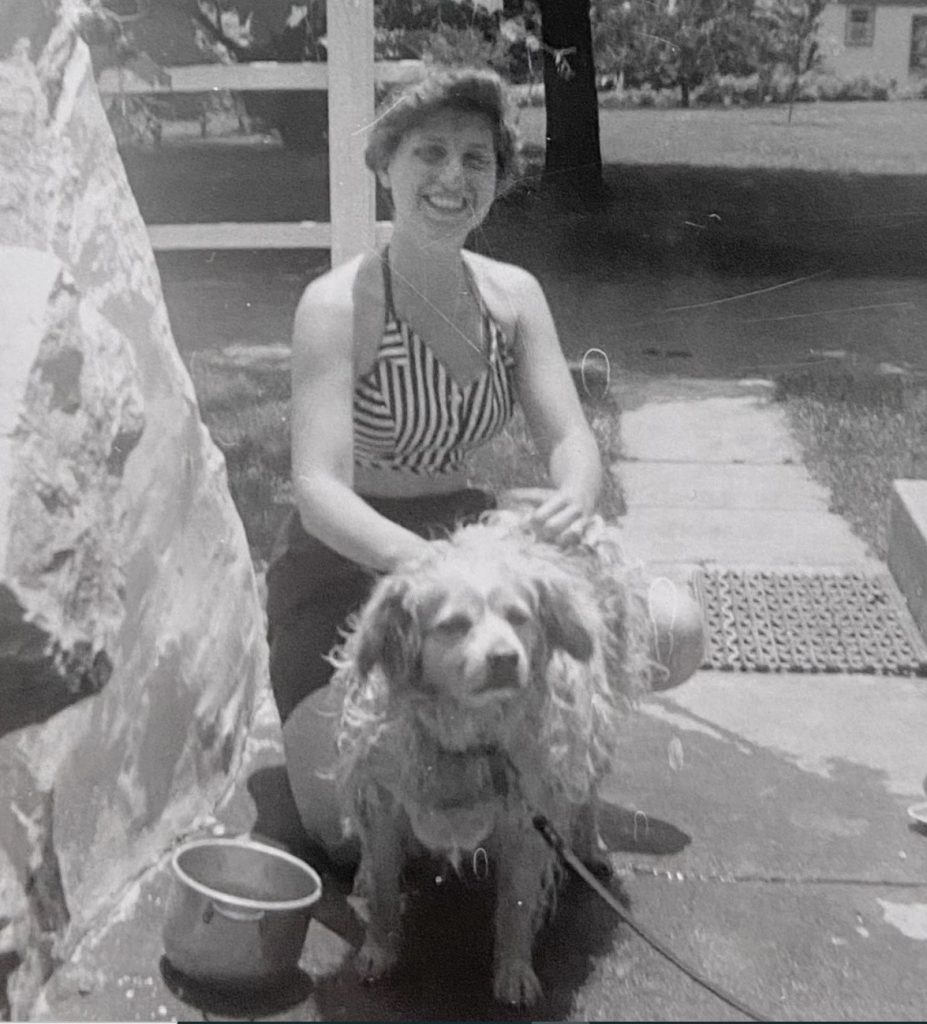 Late 1940s / maybe early 1950s image of a woman washing her cute dog. 