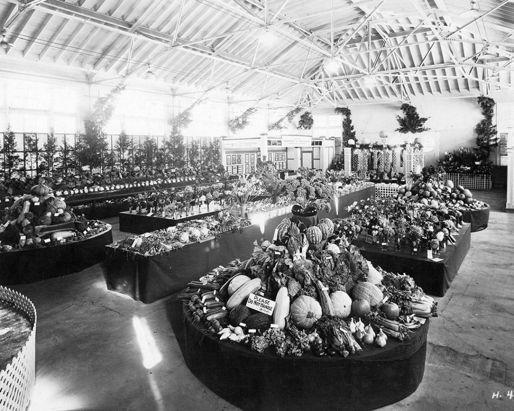 1920s vintage photo of the Vegetable Exhibit, 1928 at the Toronto CNE. 