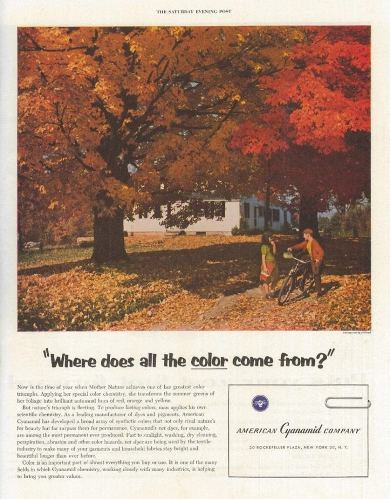 1950s Vintage Ad: "Where does all the color come from?". Beautiful fall foliage seen in a  1955 American Cyanamid vintage ad.