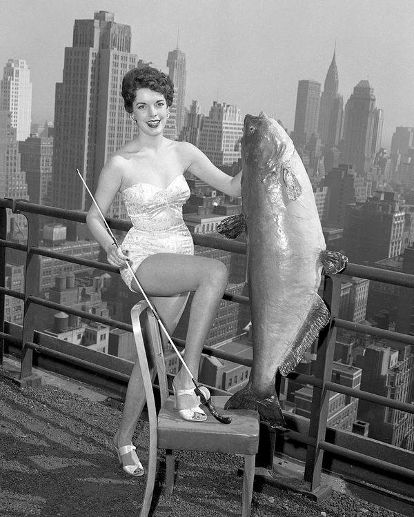 1950s vintage photo of 1950s beauty pageant winner Gail Hooper, 18, from Memphis, Tennessee, selected as Miss National Catfish Queen, holds a 56-pound catfish at the Hotel New Yorker. 1954.