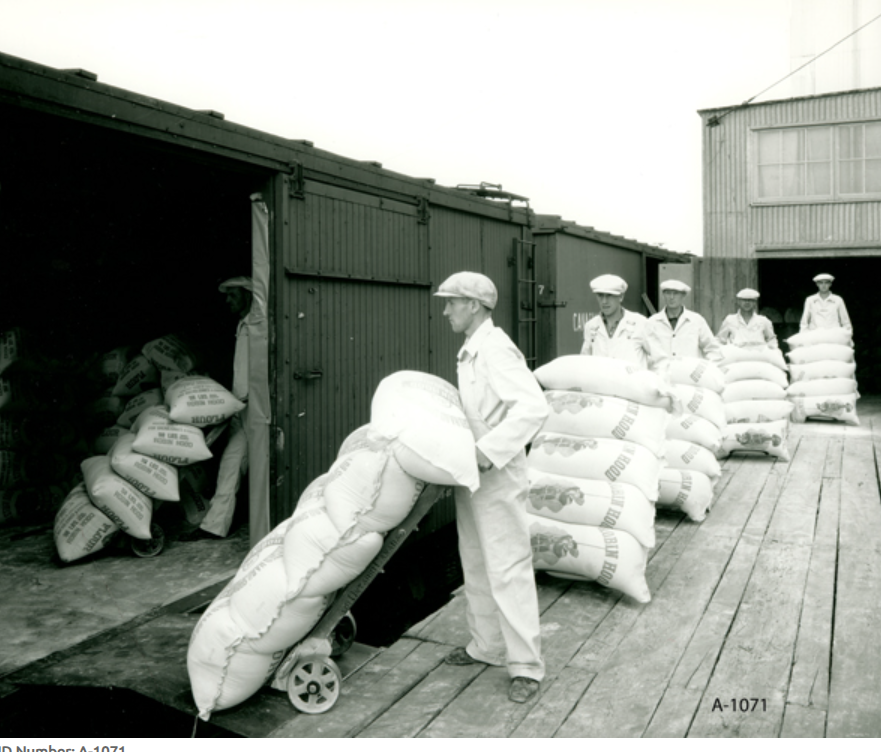 1930s Photo or a 1940s Photo of Workers in overalls load bags of flour onto a rail car at the Robin Hood Mill.