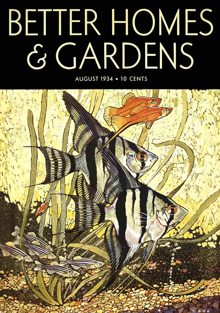 1930s vintage magazine cover better homes and gardens august 1934 featuring an illustration of a angel fish and other fish