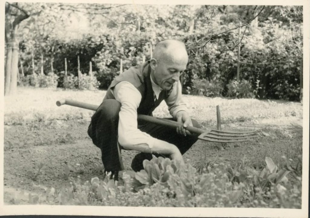 1930s vintage photo of an older man working in his garden. 