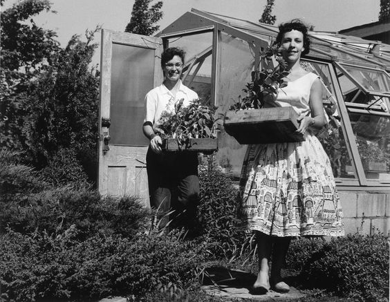 Vintage Photos Of People Tending To Their Gardens 1930s-1960s - The 