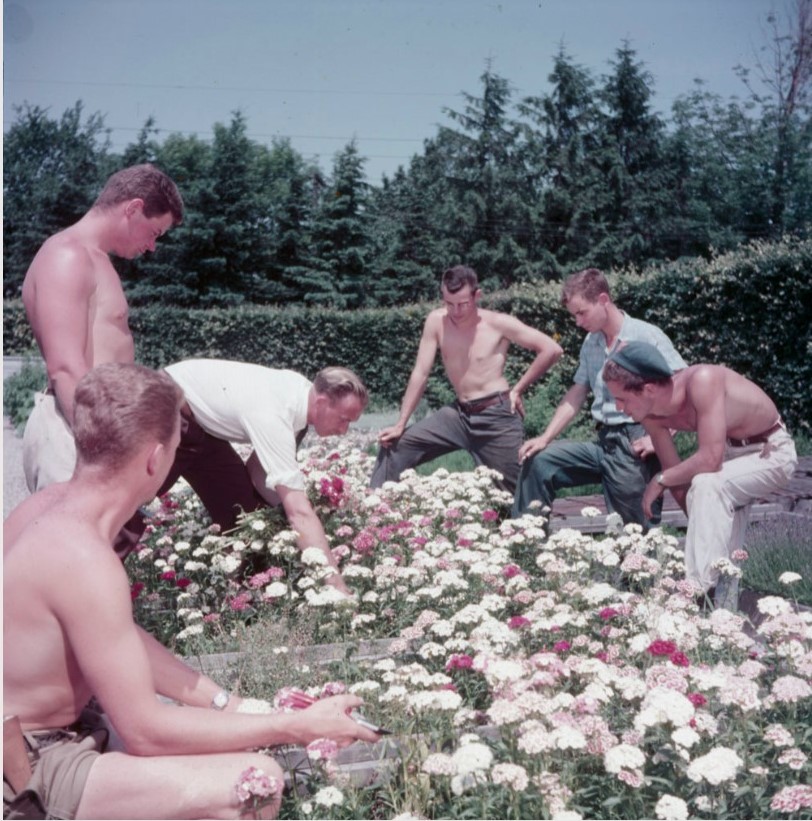 1950s vintage photo: July 1954: Niagara, Ontario Canada-A gardening instructor and his students discuss flowers. 