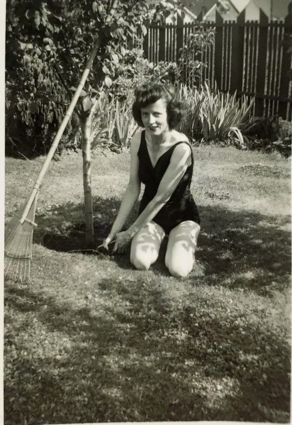 "Working on a tan AND the garden". A 1950s vintage photo of a woman in her swimsuit planting a tree in her backyard.