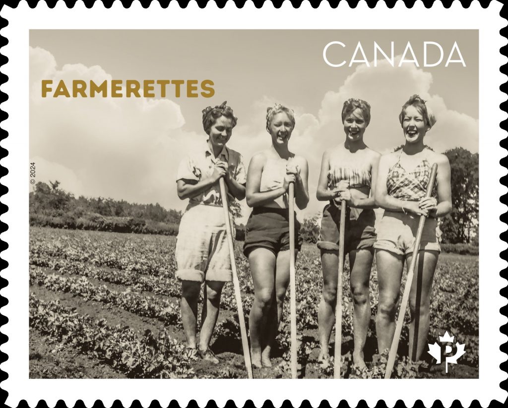 Canada Stamp: The Farmerettes featuring an image of 4 young women from the 1940s working on a farm. During the Second World War, a similar initiative, called the Ontario Farm Service Force (OFSF), was put in place from 1941 to 1952. More than 20,000 girls signed up to join the OFSF’s Farmerette Brigade. (The OFSF motto was “We Lend a Hand.”)

Living in camps and working up to 10 hours a day, the girls planted, tended and harvested fruit and vegetables in farms and orchards, and also worked in canneries.