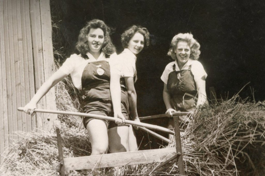 1940s vintage photo of 3 young women called Farmerettes pitching grain in Shelburne, Ont. 1945.