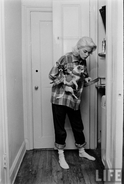 1950s Vintage Photo: Life magazine series of Jayne Mansfield cooking breakfast in a Pendleton shirt. 1950s fashion on display. 